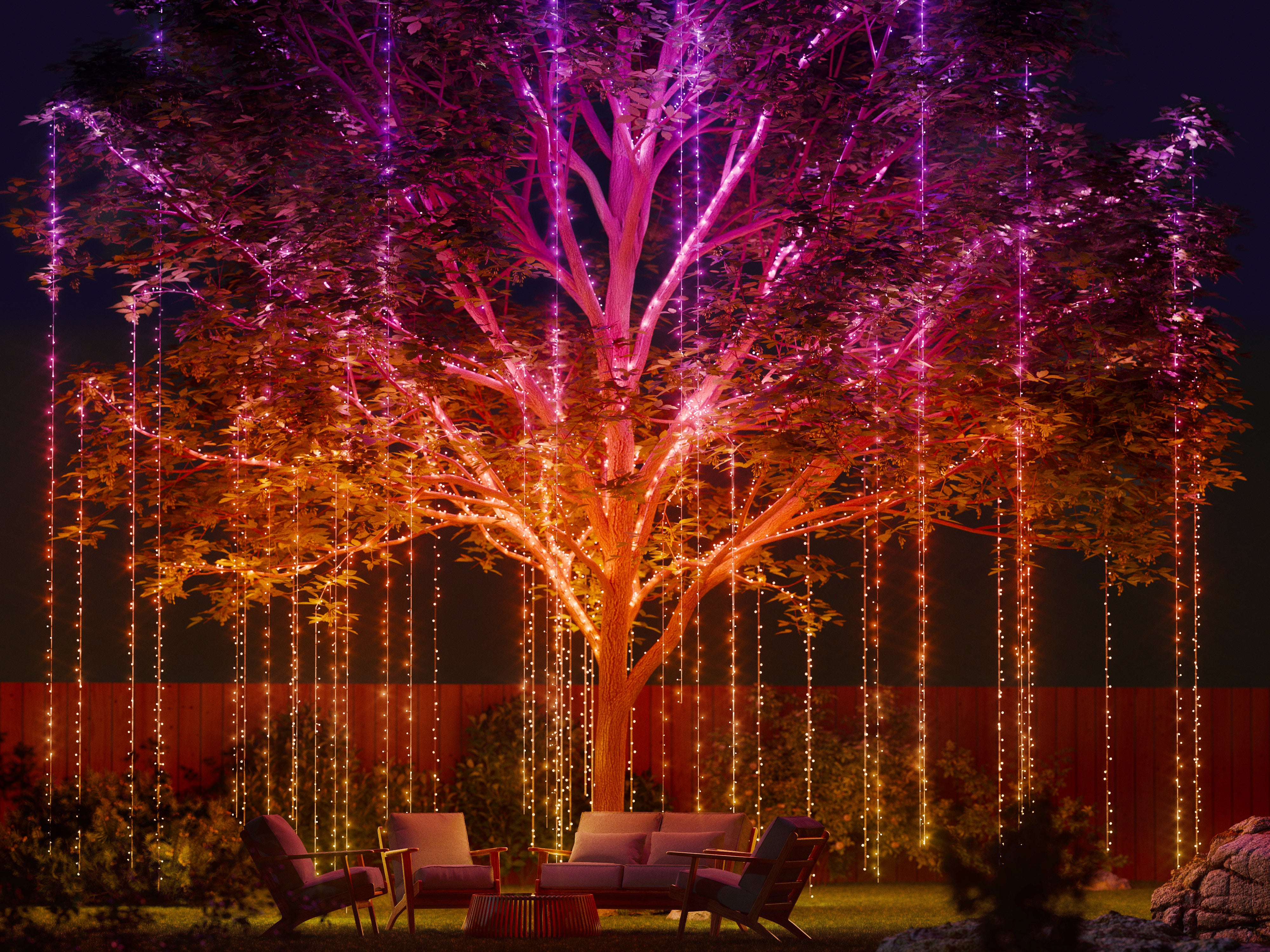 Christmas Lighting